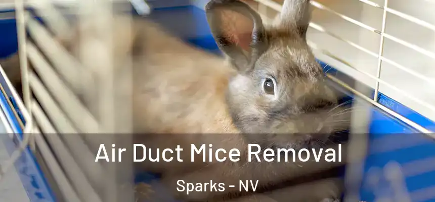  Air Duct Mice Removal Sparks - NV