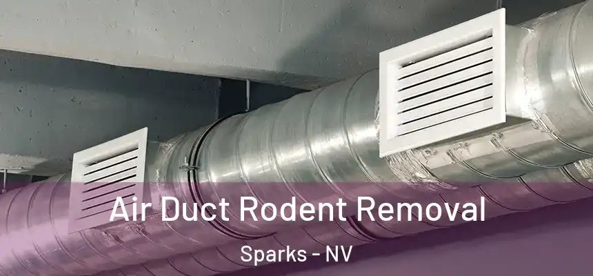  Air Duct Rodent Removal Sparks - NV