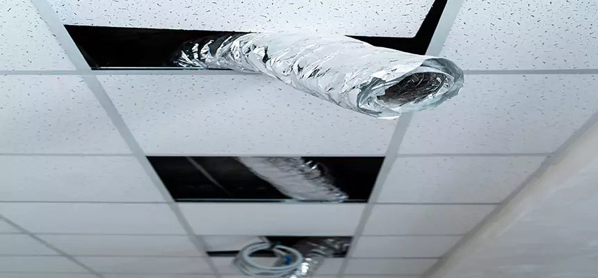 Affordable HVAC Sanitizing After Pest Removal in Sparks