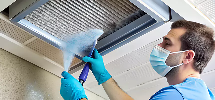 Proactive Dryer Vent & Auxiliary Duct Pollen Cleanup in Sparks, NV