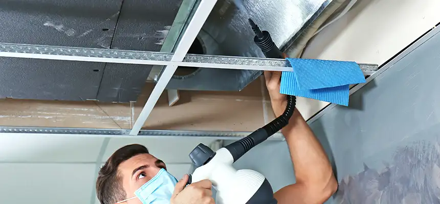 Our Air Duct Rodent Removal Services in Sparks, NV