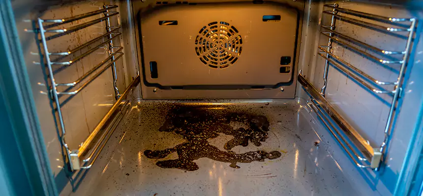 Our Dryer Vent Mold Cleaning Services in Sparks, NV