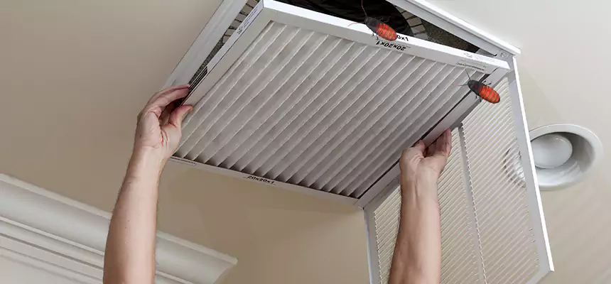Our Insect Removal from Air Ducts Services in Sparks, NV