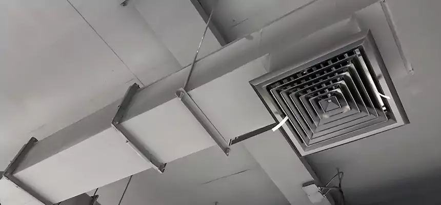 Our Rodent Droppings In Vents Services in Sparks, NV