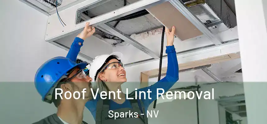  Roof Vent Lint Removal Sparks - NV