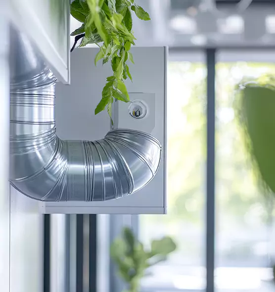 Professional Eco-Friendly Duct Cleaning Services in Sparks, NV