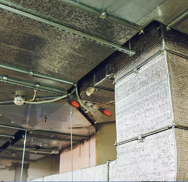 Why Homeowners & Businesses Trust Us in Sparks, NV?