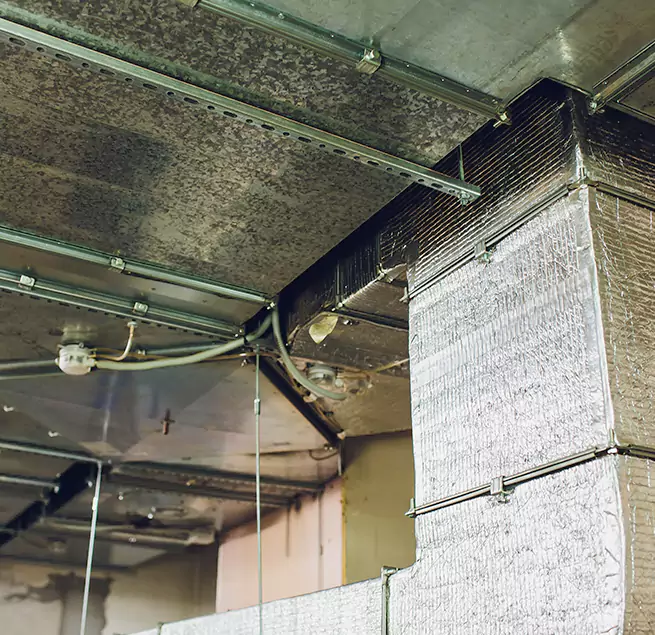 Why Homeowners & Businesses Trust Us in Sparks, NV?